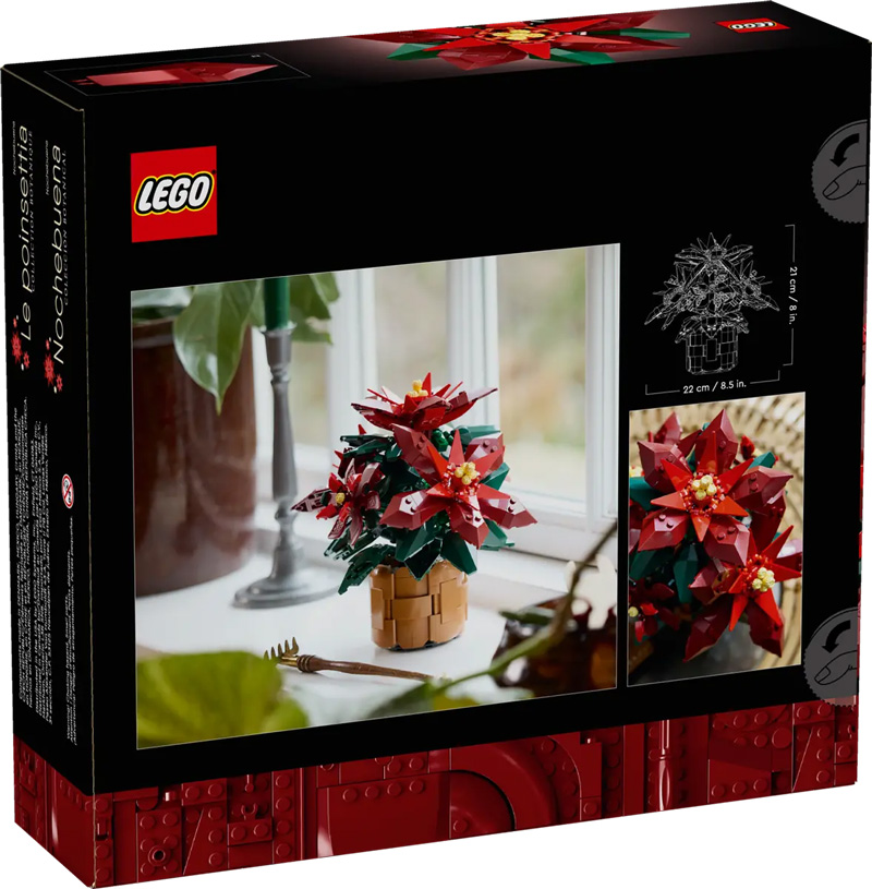 LEGO Weihnachtsstern 10370 Box Back