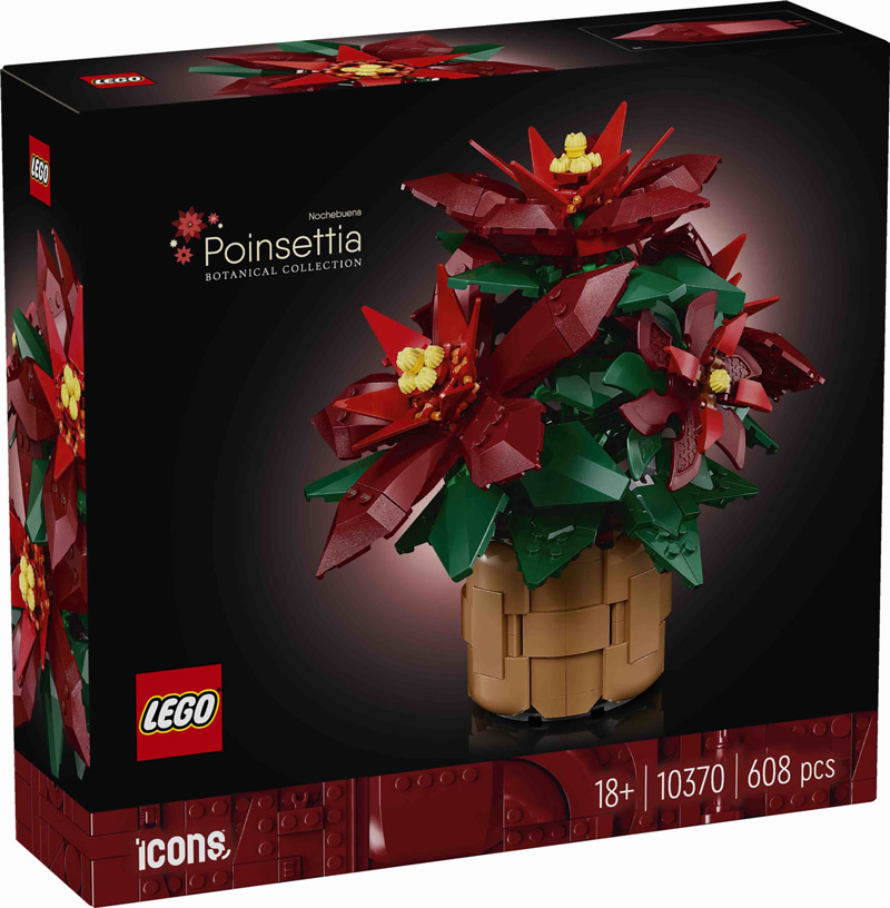 LEGO Weihnachtsstern 10370 Box Front