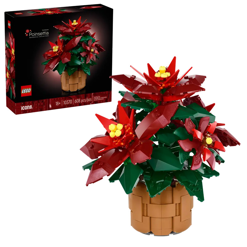 LEGO Weihnachtsstern 10370 Set und Box