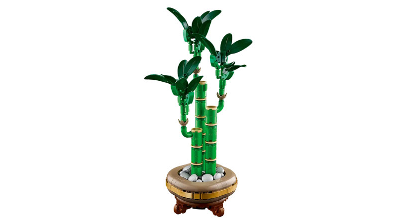 LEGO Botanical Collection Glücks-Bambus 10344 Set