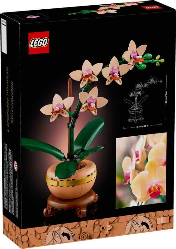 LEGo Botanical Collection Mini-Orchidee-10343 Box Back